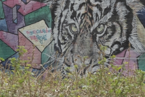 Mural de tigre