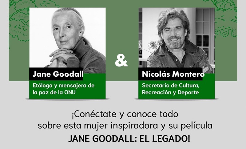 Jane Goodall y Nicolás Montero ¡Conéctate y conoce todo sobre esta mujer inspiradora y su película Jane Goodall: El Legado!