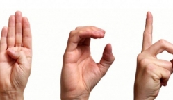 Talleres Lengua de señas